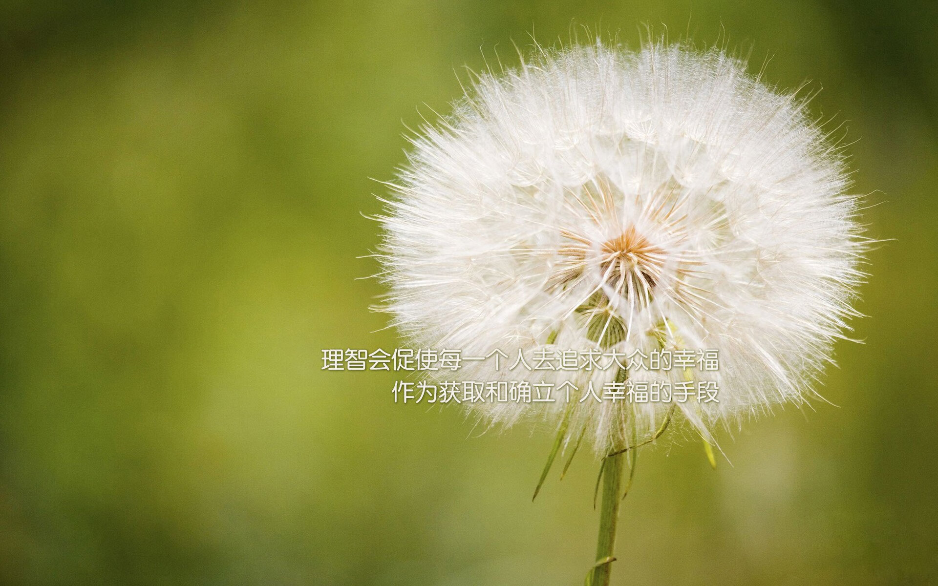 im电竞官网登录-“德甲大战在即，冠军悬念逐渐明朗化”，德甲的比赛