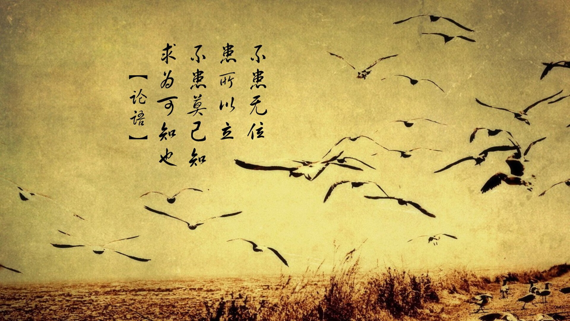 im体育网站-青少年电竞培训规范化，培养未来新星，青少年电竞培训基地