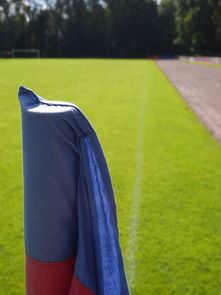 im体育最新安全APP下载-足球场国际化:打造全球影响的超级场馆,国际足球场的标准是什么