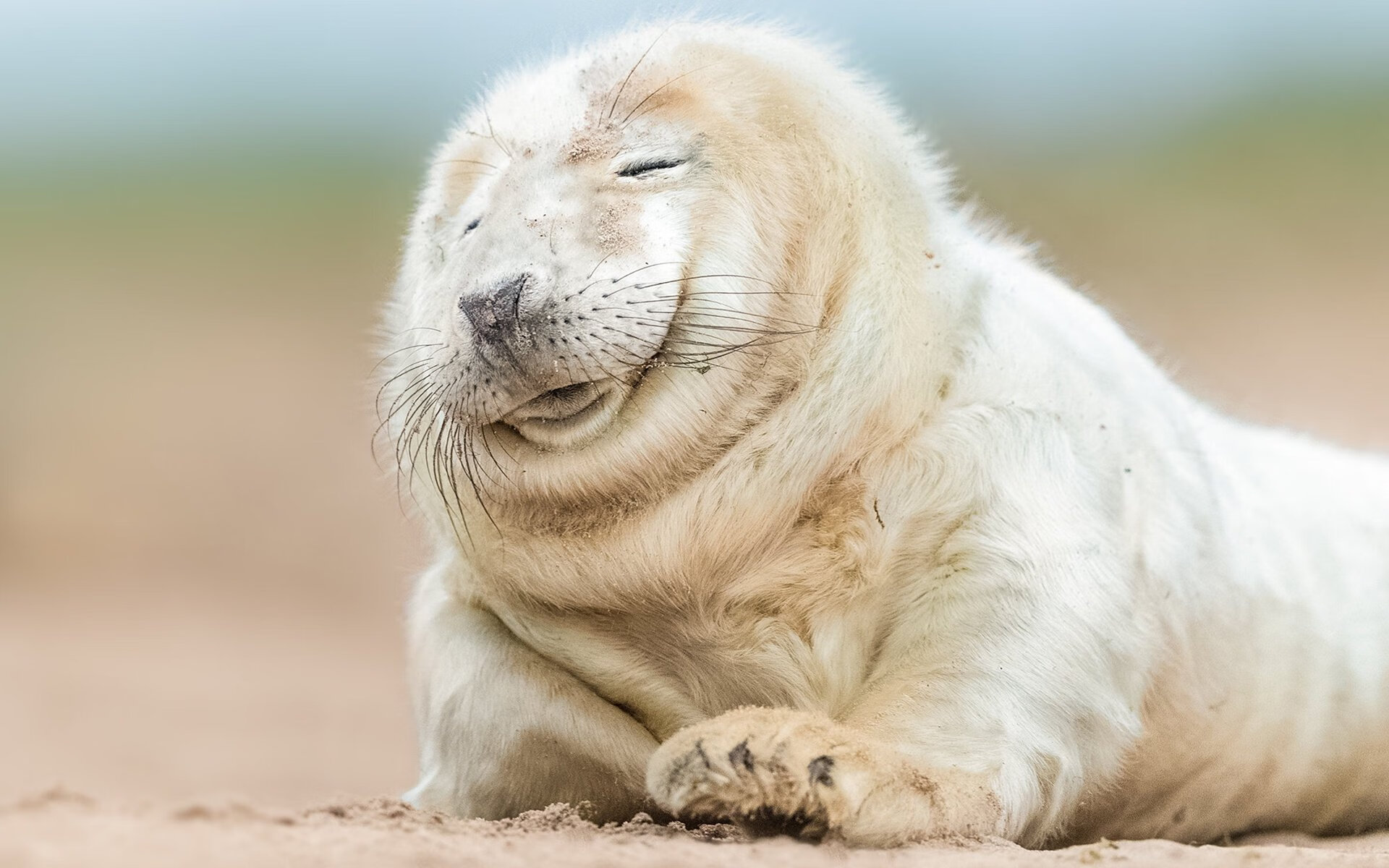 im体育app官方下载-PSG中场组织混乱影响进攻效率