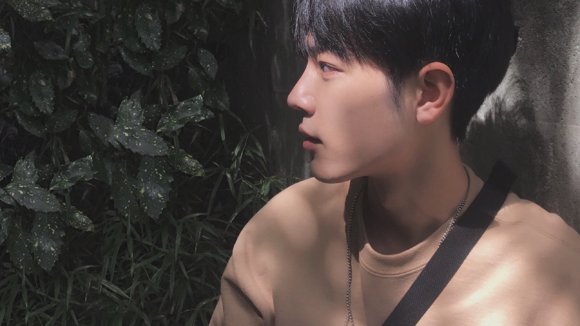 IM体育下载-中国女篮强化肢体对抗提升篮下统治力，中国女篮战术分析