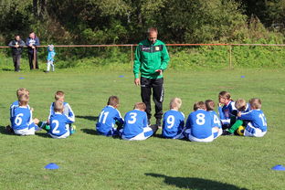 im体育电脑版-五大联赛是否提升边路轮换参与战术决策比重，五大联赛可以换5人