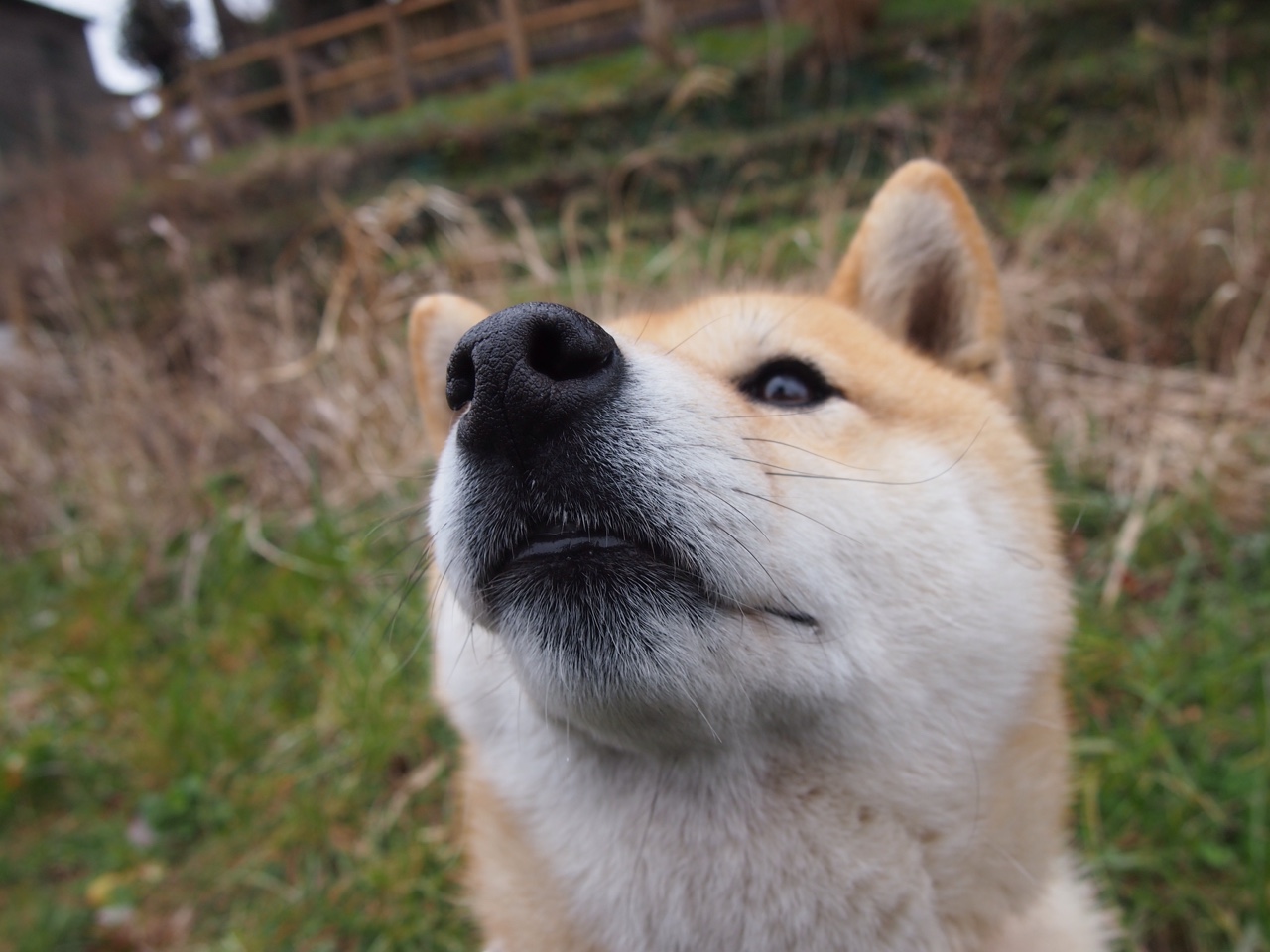 im体育app官方下载-奥运体操项目动作难度系数评估更新，奥运体操最难动作