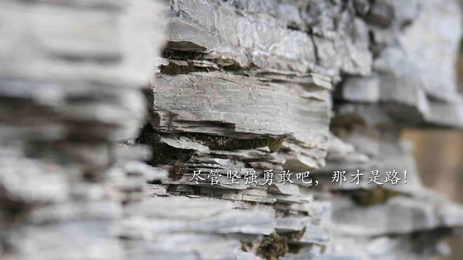 im体育下载-西甲精彩帽子戏法：球星闪耀全场，梅西国家队帽子戏法全记录